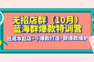 【2022.11.03】无招店群·蓝海群爆款特训营(10月新课) 低成本起店+小爆款打造+群爆款维护百度网盘免费下载-芽米宝库