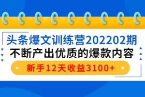 【2022.11.01】头条爆文训练营202202期，不断产出优质的爆款内容，新手12天收益3100+百度网盘免费下载-芽米宝库