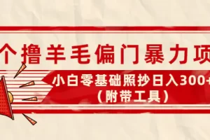 【2022.10.24】外面卖998的三个撸羊毛偏门暴力项目，小白零基础照抄日入300+（附带工具）百度网盘免费下载-芽米宝库