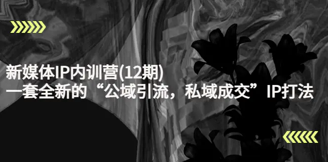 图片[1]-【2022.10.24】新媒体IP内训营(12期)，一套全新的“公域引流，私域成交”IP打法，直接带走百度网盘免费下载-芽米宝库