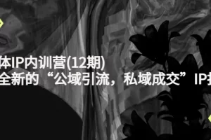 【2022.10.24】新媒体IP内训营(12期)，一套全新的“公域引流，私域成交”IP打法，直接带走百度网盘免费下载-芽米宝库