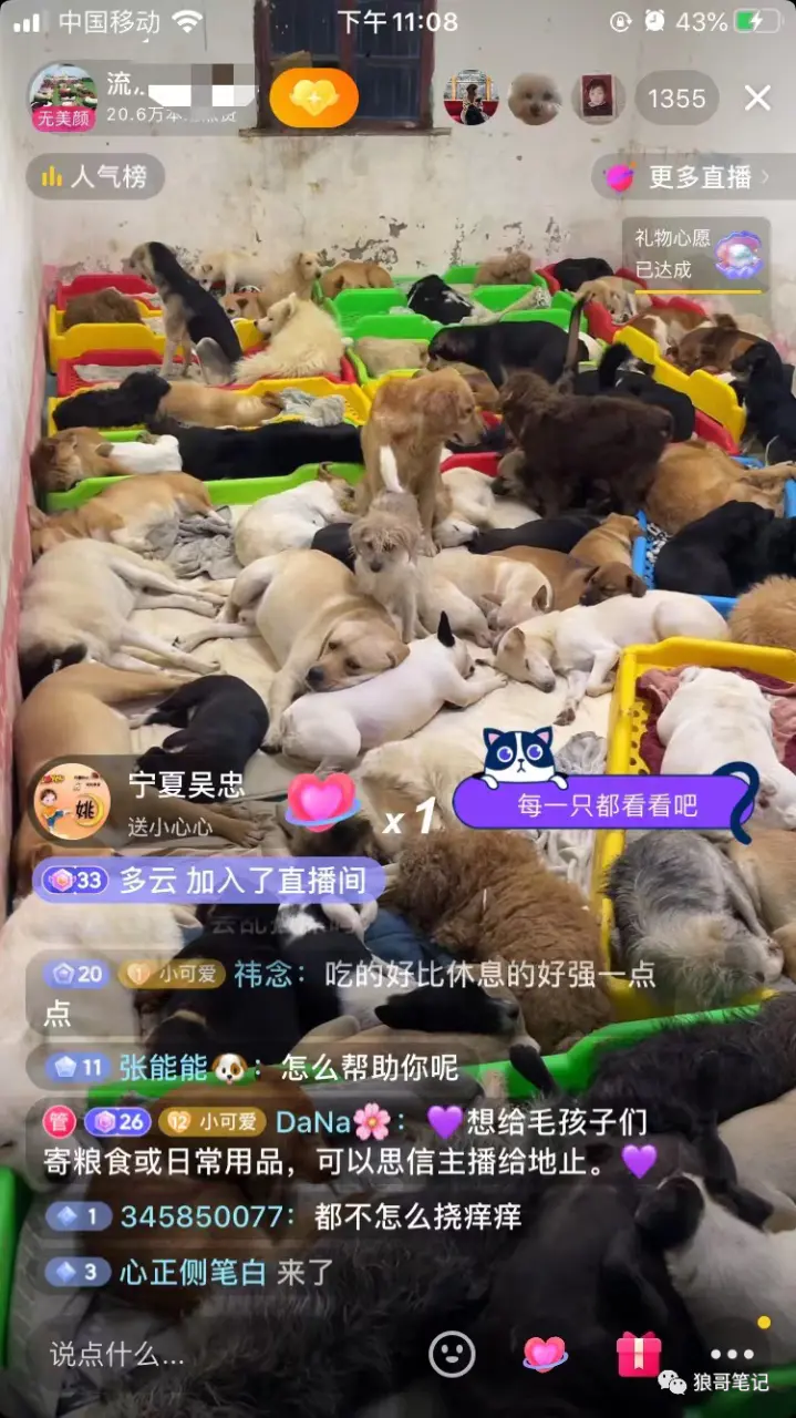 图片[1]-【2022.10.24】利用同情心直播流浪狗涨粉搞钱百度网盘免费下载-芽米宝库