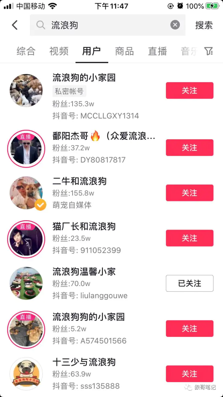 图片[3]-【2022.10.24】利用同情心直播流浪狗涨粉搞钱百度网盘免费下载-芽米宝库