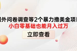 【2022.10.18】国外问卷调查等2个暴力撸美金项目，小白零基础也能月入过万百度网盘免费下载-芽米宝库