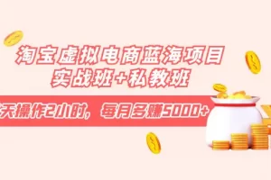 【2022.10.18】淘宝虚拟电商蓝海项目实战班+私教班：每天操作2小时，每月多赚5000+百度网盘免费下载-芽米宝库