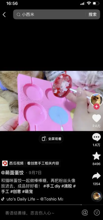 图片[5]-【2022.10.14】蓝海冷门项目，速度抢占市场，变现容易，月赚8000起百度网盘免费下载-芽米宝库
