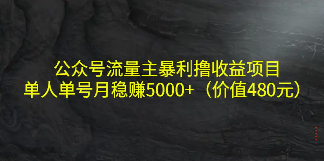 图片[1]-【2022.10.13】公众号流量主暴利撸收益项目，单人单号月稳赚5000+（价值480元）百度网盘免费下载-芽米宝库