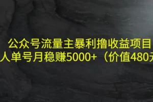 【2022.10.13】公众号流量主暴利撸收益项目，单人单号月稳赚5000+（价值480元）百度网盘免费下载-芽米宝库