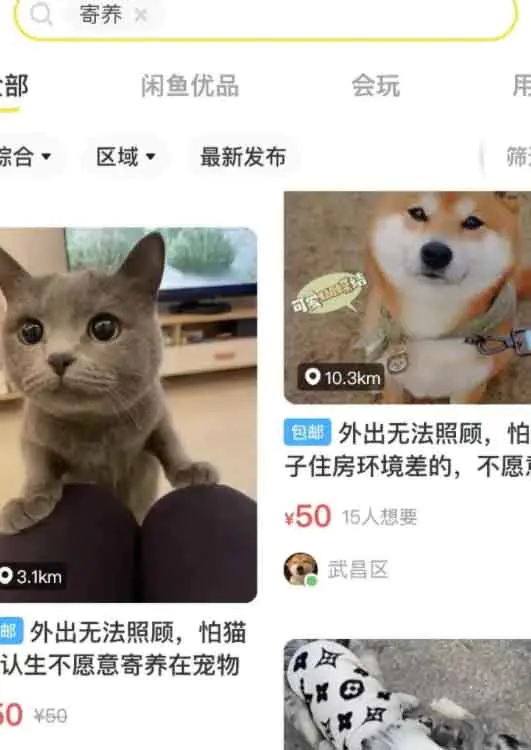 图片[2]-【2022.10.11】低成本宠物项目，单天利润三五百百度网盘免费下载-芽米宝库