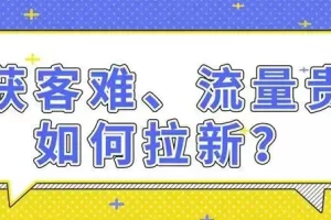 【2022.10.10】拉新获客的9种策略快速吸引精准客户百度网盘免费下载-芽米宝库