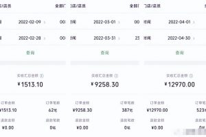 【2022.10.10】特别适合新手的实操项目，资料号引流实操变现百度网盘免费下载-芽米宝库