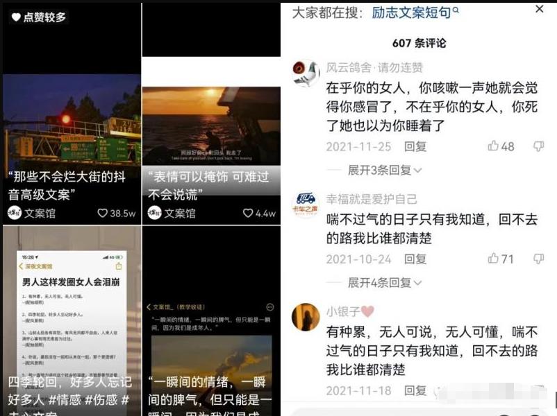 图片[3]-【2022.10.10】1个月大几千的副业思路，抖音文案号项目，无门槛人人可做！百度网盘免费下载-芽米宝库