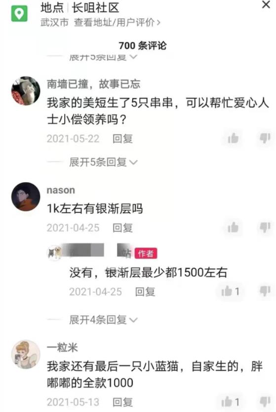 图片[2]-【2022.10.10】不用引流，一天赚1000+，很简单的闷声搞钱路子百度网盘免费下载-芽米宝库