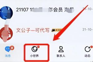 【2022.10.10】QQ小世界，红利期副业项目，收益很可观，可放大操作百度网盘免费下载-芽米宝库