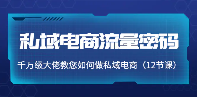图片[1]-【2022.10.09】私域电商流量密码：千万级大佬教您如何做私域电商（12节课）百度网盘免费下载-芽米宝库