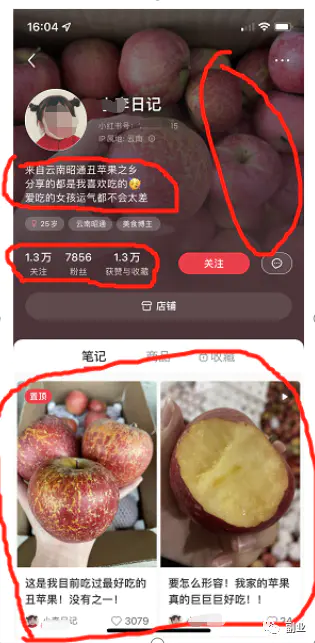 图片[3]-【2022.10.05】副业做小红书，日赚600块百度网盘免费下载-芽米宝库