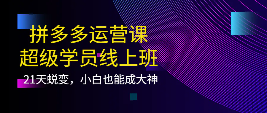 图片[1]-【2022.10.03】拼多多运营课：超级学员线上班，21天蜕变，小白也能成大神百度网盘免费下载-芽米宝库