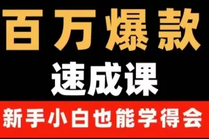【2022.10.01】百万爆款速成课：用数据思维做爆款，小白也能从0-1打造百万播放视频百度网盘免费下载-芽米宝库