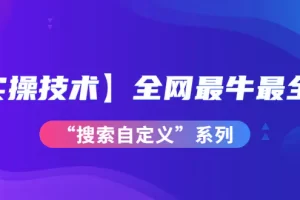 【2022.10.01】【实操技术】全网最牛最全的“搜索自定义”系列！价值698元百度网盘免费下载-芽米宝库