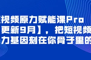 【2022.09.29】短视频原力赋能课Pro【更新9月】，把短视频能力基因刻在你骨子里的课百度网盘免费下载-芽米宝库