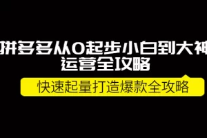 【2022.09.27】拼多多从0起步小白到大神运营全攻略，快速起量打造10W+爆款全攻略！  实操项目  3小时前  0  381  28.9百度网盘免费下载-芽米宝库