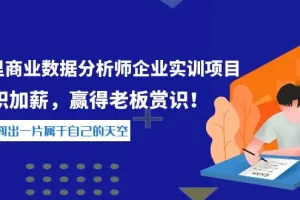 【2022.09.25】《阿里商业数据分析师企业实训项目》升职加薪，赢得老板赏识！百度网盘免费下载-芽米宝库