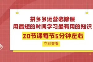 【2022.09.22】拼多多运营必修课：20节课每节5分钟左右，用最短的时间学习最有用的知识百度网盘免费下载-芽米宝库