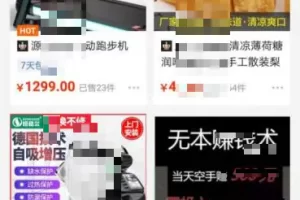 【2022.09.19】24一单，月销100+，蓝海中操作经典项目。百度网盘免费下载-芽米宝库