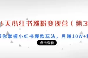 【2022.09.18】21天小红书涨粉变现营（第3期）：带你掌握小红书爆款玩法，月赚10W+秘密百度网盘免费下载-芽米宝库