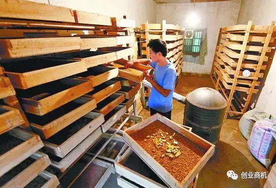 图片[1]-【2022.09.18】农村暴利小生意，50岁中年人可干，轻轻松松收入20万！百度网盘免费下载-芽米宝库