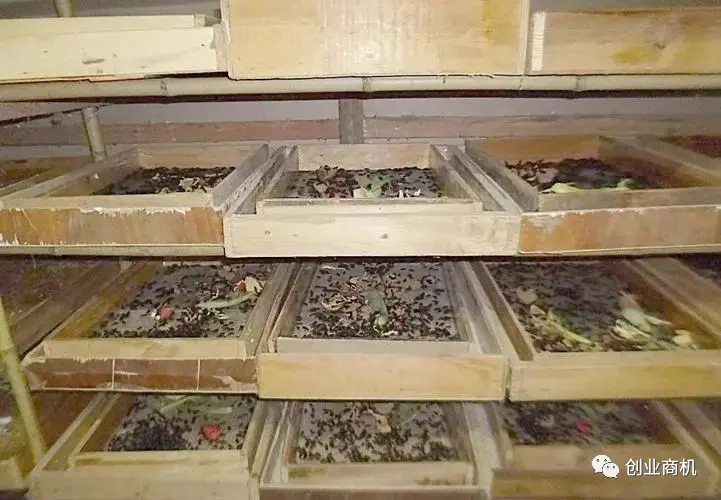 图片[5]-【2022.09.18】农村暴利小生意，50岁中年人可干，轻轻松松收入20万！百度网盘免费下载-芽米宝库