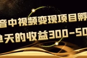【2022.09.17】黄岛主《抖音中视频变现项目孵化》单天的收益300-500 操作简单粗暴百度网盘免费下载-芽米宝库