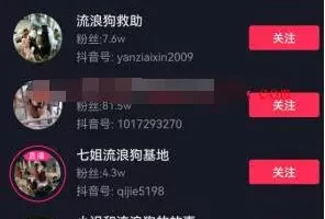 【2022.09.14】[网赚项目] 年入千万偏门路子—流浪狗救助！百度网盘免费下载-芽米宝库