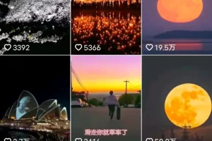 【2022.09.14】[网赚项目] 无脑搬砖，收益500+百度网盘免费下载-芽米宝库