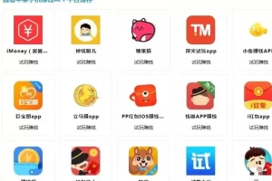 【2022.09.14】快速上岸的短视频项目起盘指南！百度网盘免费下载-芽米宝库