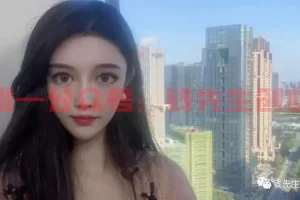 【2022.09.14】拆解双IP，同步解决流量和变现问题，4000长文详细解读百度网盘免费下载-芽米宝库