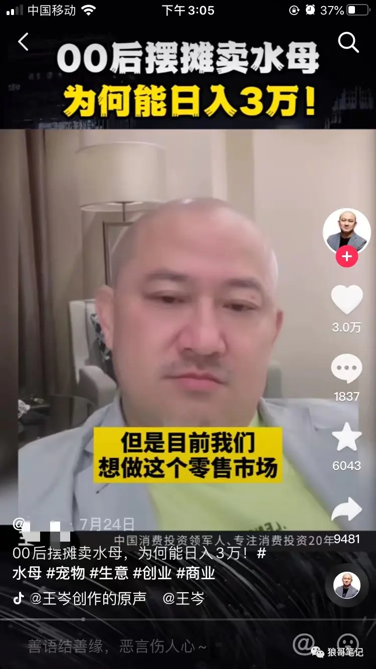 图片[1]-【2022.09.14】一只小小的水母活体，居然也能卖疯！（水母活体多少钱）百度网盘免费下载-芽米宝库