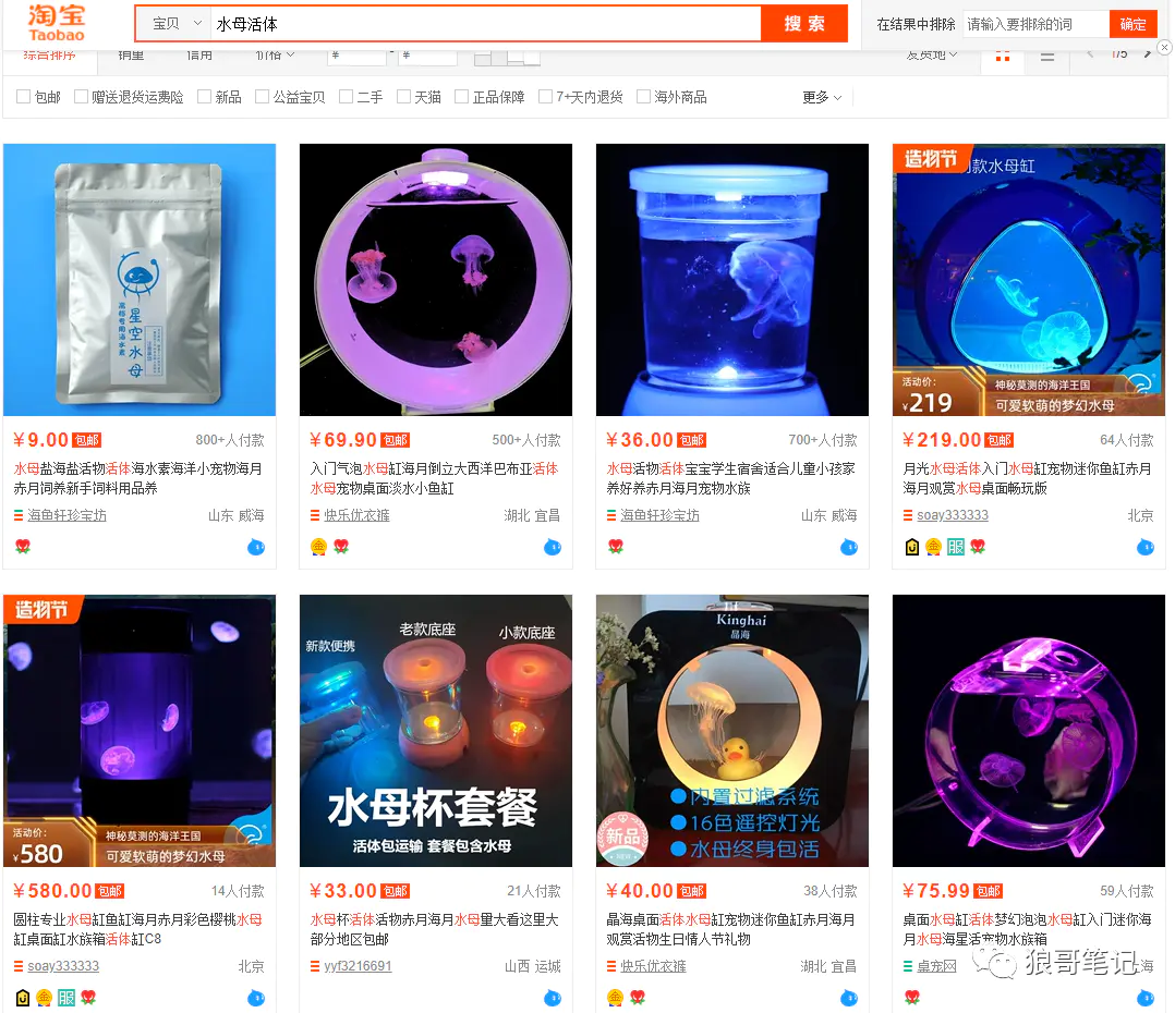 图片[2]-【2022.09.14】一只小小的水母活体，居然也能卖疯！（水母活体多少钱）百度网盘免费下载-芽米宝库