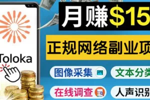【2022.09.07】正规网络副业赚钱平台Toloka，利用业余时间月赚150美元百度网盘免费下载-芽米宝库