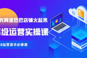 【2022.09.06】【90天阿里巴巴店铺火起来】高级运营实操课，1688运营高手必修课百度网盘免费下载-芽米宝库