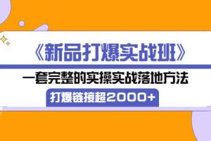 【2022.09.05】《新品打爆实战班》一套完整的实操实战落地方法，打爆链接超2000+（28节课)百度网盘免费下载-芽米宝库