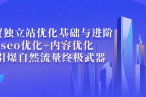 【2022.09.04】外贸独立站优化基础与进阶，seo优化+内容优化+引爆自然流量终极武器百度网盘免费下载-芽米宝库