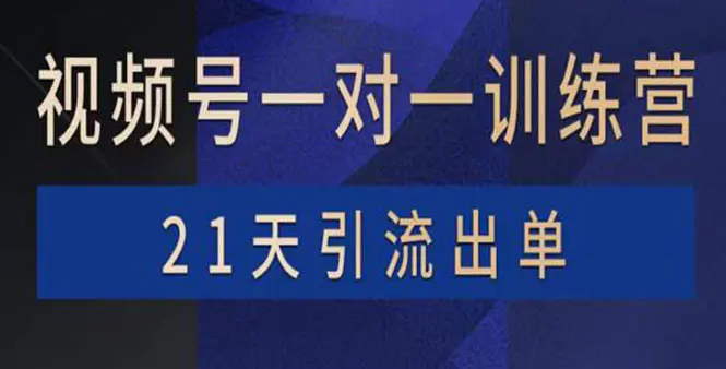 图片[1]-【2022.09.04】视频号训练营：带货，涨粉，直播，游戏，四大变现新方向，21天引流出单百度网盘免费下载-芽米宝库