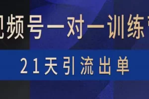 【2022.09.04】视频号训练营：带货，涨粉，直播，游戏，四大变现新方向，21天引流出单百度网盘免费下载-芽米宝库