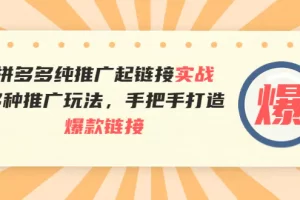【2022.08.30】拼多多纯推广起链接实战：多种推广玩法，手把手打造爆款链接百度网盘免费下载-芽米宝库