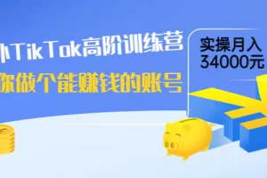 【2022.08.28】海外TikTok高阶训练营：教你做个能赚钱的账号，实操月入34000元！百度网盘免费下载-芽米宝库