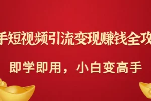 【2022.08.18】快手短视频引流变现赚钱全攻略：即学即用，小白变高手（价值980元）百度网盘免费下载-芽米宝库