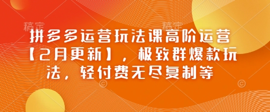 【2025.02.27】拼多多运营玩法课高阶运营【2月更新】，极致群爆款玩法，轻付费无尽复制等百度网盘免费下载-芽米宝库