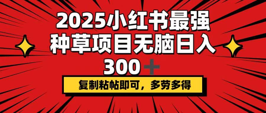 【2025.03.02】2025小红书最强种草项目，无脑日入300+，复制粘帖即可，多劳多得百度网盘免费下载-芽米宝库