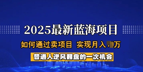 【2025.03.02】2025蓝海项目，普通人如何通过卖项目，实现月入过W，全过程百度网盘免费下载-芽米宝库